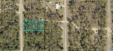 1600 x 1022 jpeg 252 кб. 0.50 Acres Property in Lee County- 10 Irving Ave Lehigh ...