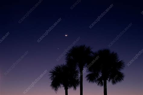 crescent moon and venus stock image c003 2808 science photo library
