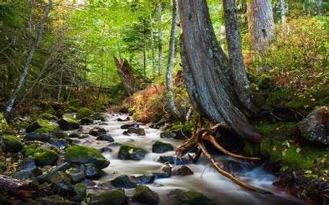Mount Hood In Oregon Forest Stream Landscape Wallpaper Hd 3840x2400