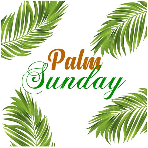 Palm Sunday Vector Hd Png Images Palm Sunday Transparent Background