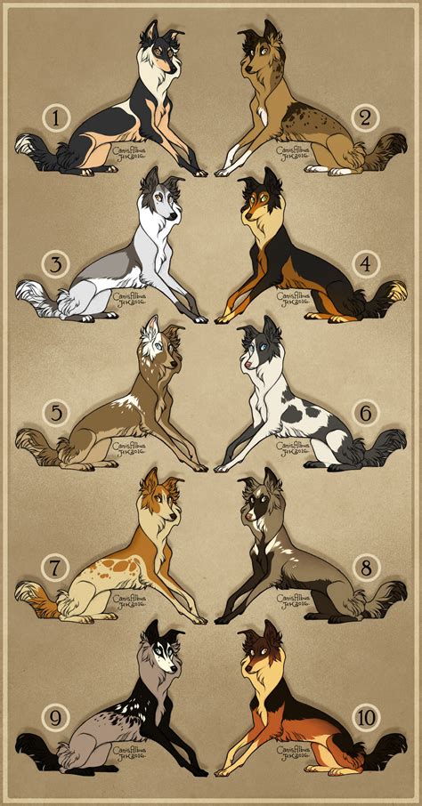 Border Collie Adoptables Closed By Canisalbus On Deviantart