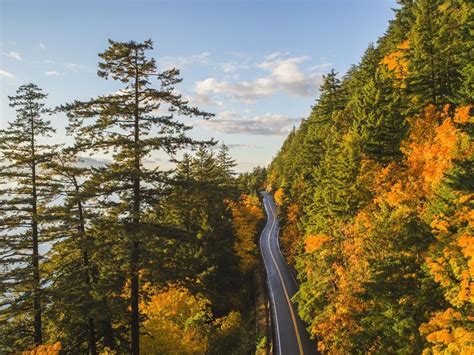The Ultimate Guide To Getting Around The Pacific Northwest Americas