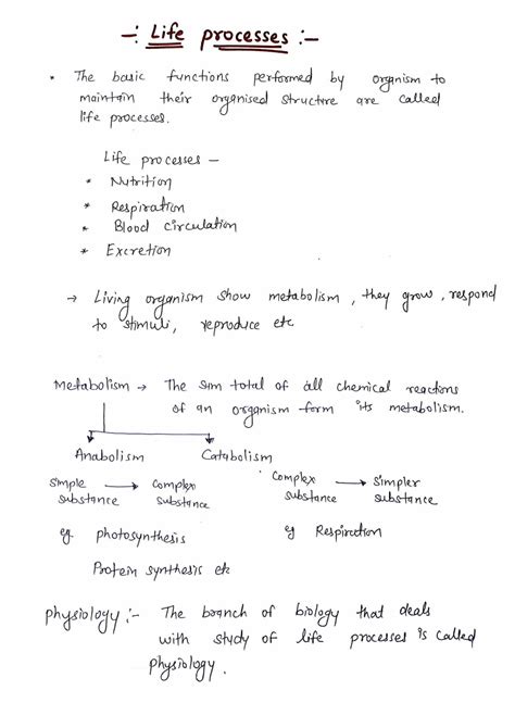 Solution Life Processes Handwritten Notes Class 10 Studypool