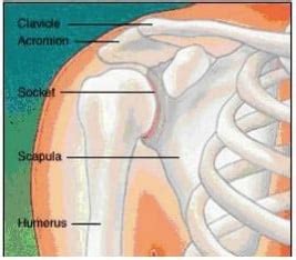 Frozen Shoulder Treatment Options Conservative Surgical With Post Op