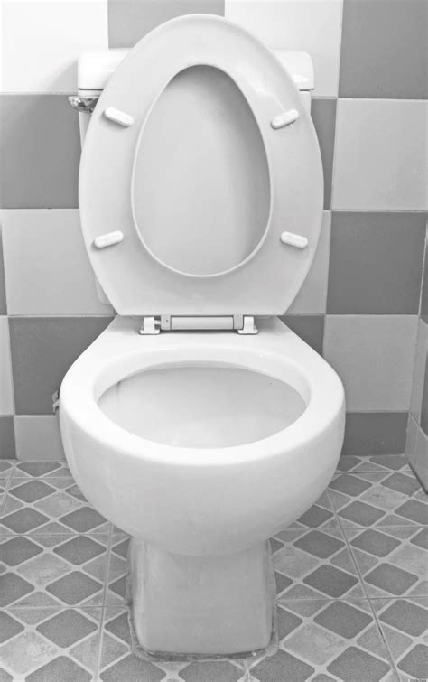 10 Things You Didnt Know About Toilets That Are Totally Fascinating