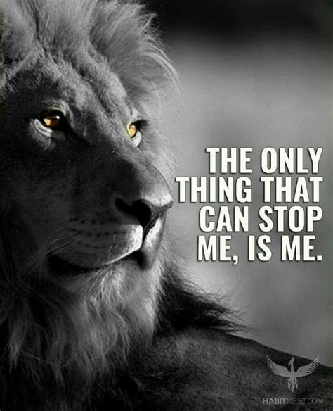 Strong Inspirational Lion Quotes Shortquotescc