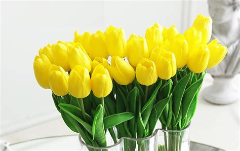 30 Gambar Bunga Tulip Warna Kuning Paling Modern Dan Nyaman
