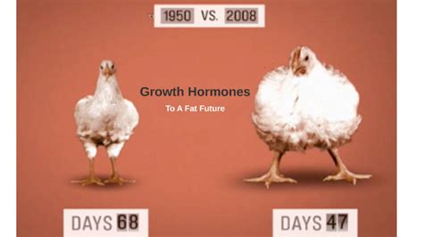 Growth Hormones By Gavin Ingram