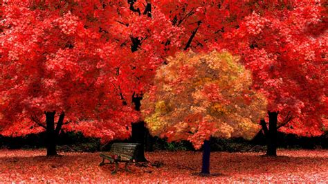 Red Autumn Wallpapers Wallpaper Cave