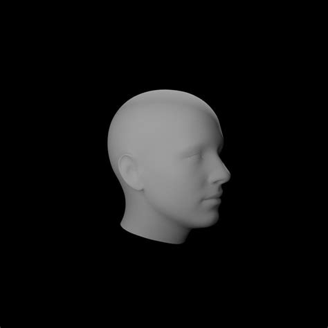 Male 3d Head 3d Model Cgtrader