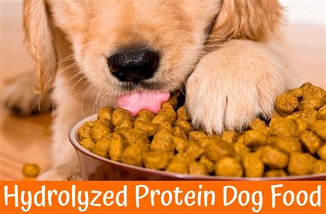 They also use natural preservatives, like vitamin e and vitamin c, instead of artificial ones like bha or bht. Hydrolyzed Protein Dog Food - Latest Review in 2019 - US Bones