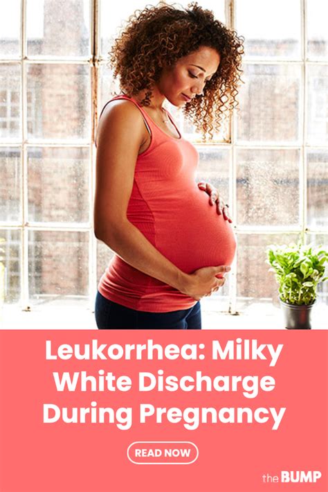 Leukorrhea Milky White Discharge During Pregnancy Milky White