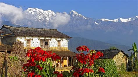 Dhampus Village Of Nepal Dhampus Village Trek From Pokhara