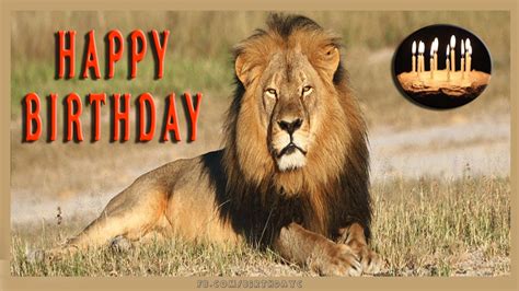 Happy Birthday Lion Birthday Greeting Card