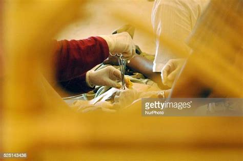 Doctors Perform Circumcision To One Participant Free Mass Photo D