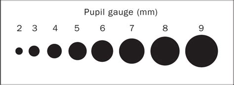 Pupil Size Chart