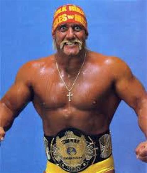 Daily Pro Wrestling History 0123 Hulk Hogan Wins The Wwf World