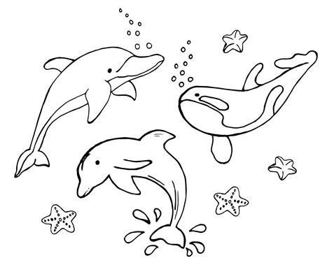illustration croquis ensemble dessiné de dauphins et d épaulard
