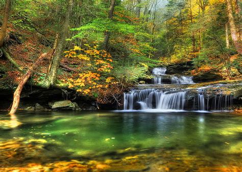 Water Cascades Forest Stream Fall Autumn Sun Bonito Emerald