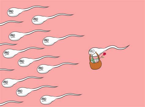 Cartoon Sperm Cell Illustrations Royalty Free Vector Graphics And Clip