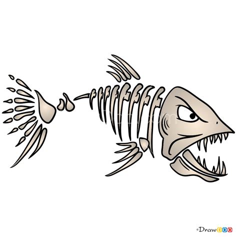 How To Draw Fish Bones Skeletons