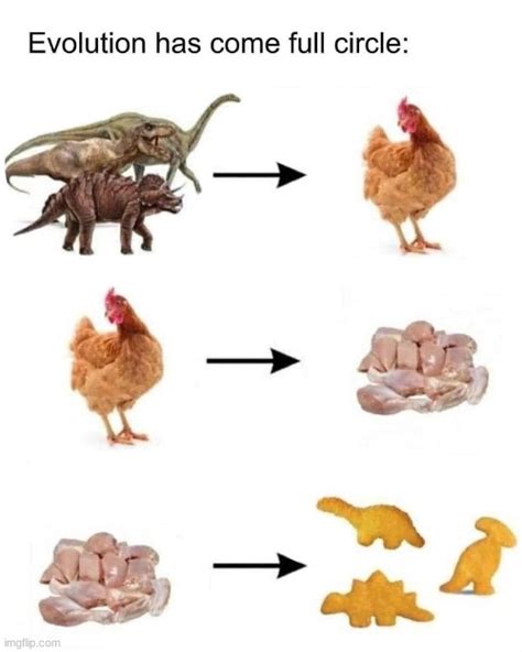 Dont Believe Evolution Look At The Meme Imgflip