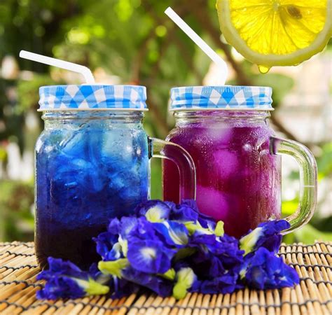 This blue butterfly pea tea is also called anchan tea, color changing tea, clitoria tea, thai blue tea, blue tea, blue chai (india) and aparajita tea in. Blue Butterfly Pea Flower aka Clitoria Ternatea | The ...
