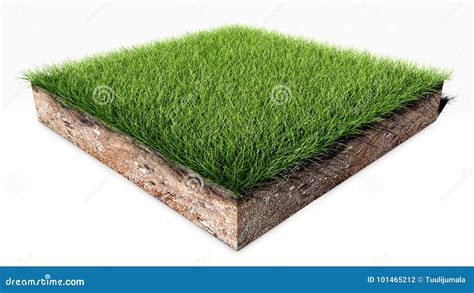 A Piece Of Turf With Grass Royalty Free Cartoon