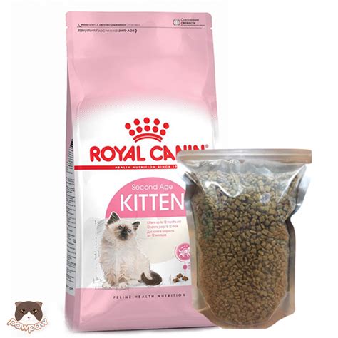 Hạt Royal Canin Kitten Bao Chiết 1kg Cho Mèo Con Pawpaw Petshop