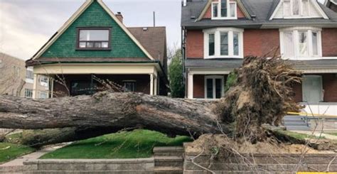 Strong Storm To Batter Toronto And Southern Ontario With Extreme Wind Speeds Flipboard