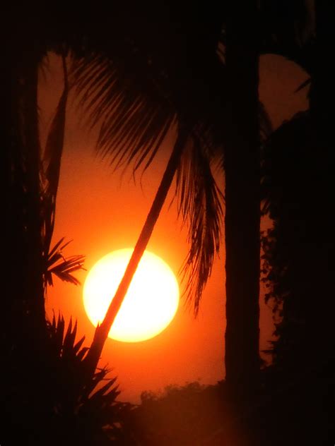 Free Stock Photo Of Evening Sun