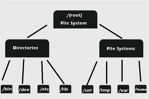 Виды файловой системы Windows