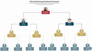 Organizational Structure Types In Management Image To U
