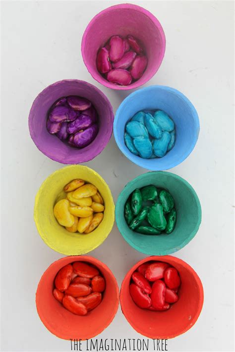 Magic Coloured Beans Sorting Activity - The Imagination Tree | Imagination tree, Sorting ...