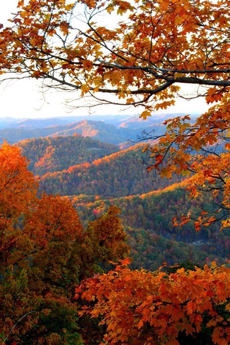 Pine Mountain Whitesburg Ky Autumn Scenery Autumn Landscape Nature