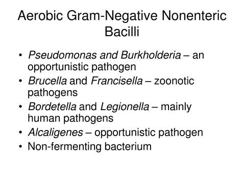 Ppt Chapter 20 The Gram Negative Bacilli Of Medical Importance