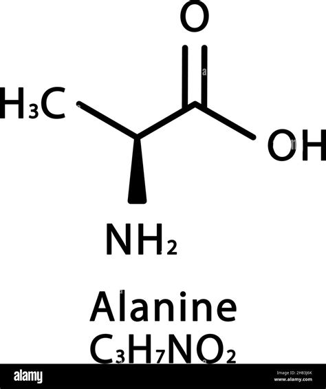 Alanine Molecular Structure Alanine Skeletal Chemical Formula