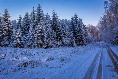 Frozen Forest With Snowy Road At Dawn In Winter Stock Image Image Of