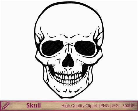 Human Skull Clip Art Wikiclipart