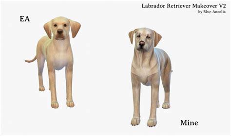 Labrador Retrievers Makeover At Blue Ancolia Sims 4 Updates