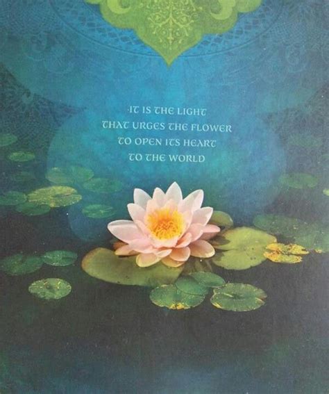 The 25 Best Lotus Flower Quote Ideas On Pinterest Lotus