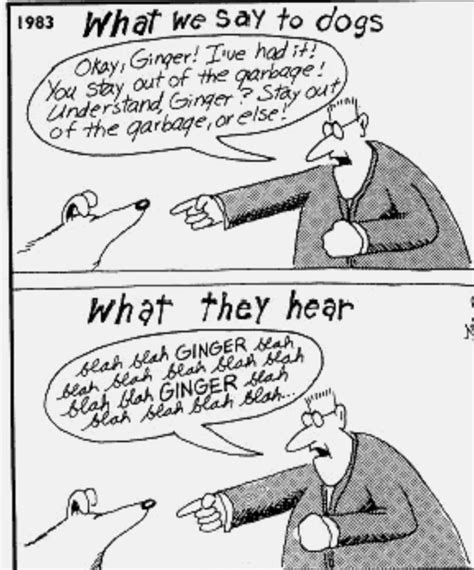 Pin By Pamela Wallace On Animal Fun And Humor Far Side Cartoons The