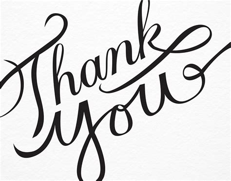 Connect with them on dribbble; Thank You Calligraphy by Molly Jacques | Postable