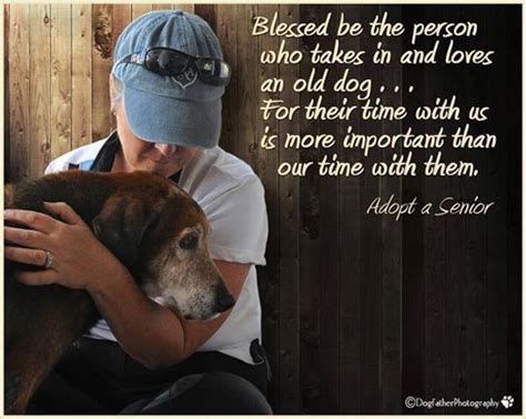 Adopt A Senior Animal Quotes Dog Quotes Dog Poems Rescue Quotes Dog