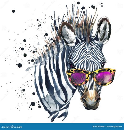 Funny Zebra Illustration With Splash Watercolor Texture Rainbow