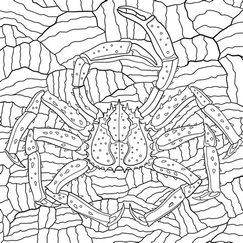 National Geographic Coloring Book On Behance