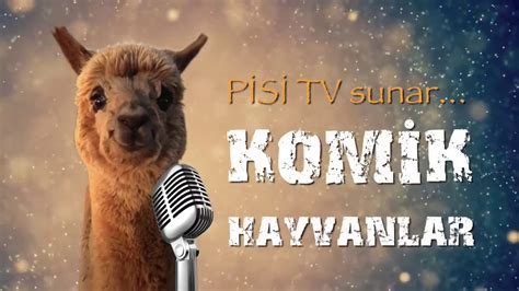 Find kultur, livsstil, dokumentarer, børneprogrammer og meget mere. Komik Hayvanlar 2 Bu Hayvanlar Konuşuyor - YouTube