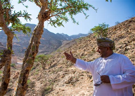 The Tropical Side Of Oman In Dhofar