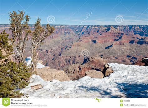 Grand Canyon Winter Scene Stock Photo Image 8608630