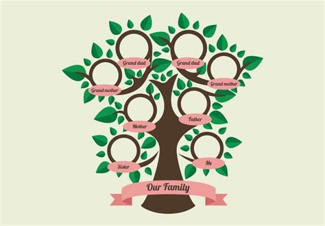 Modelo de árvore genealógica Download Vetores Gratis Desenhos de